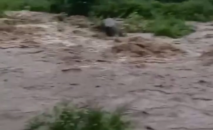 ଉପର ମୁଣ୍ଡରେ ବର୍ଷା: ଜଳସ୍ତର ବଢ଼ିଲେ ବାଘଲଟି ଛାଡ଼ିବ ପ୍ରଥମ ବନ୍ୟା ଜଳ