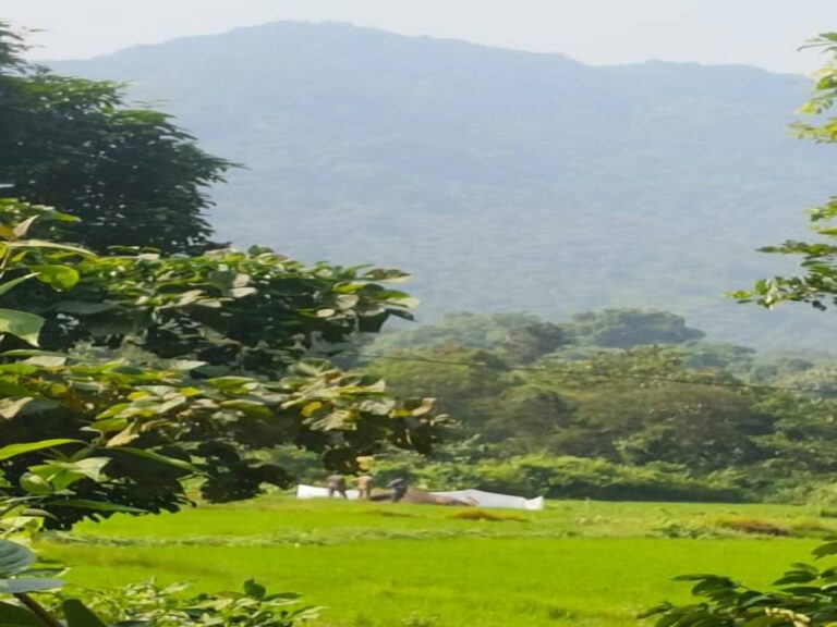 କୁଲଡିହାରେ ଦନ୍ତା ଶିକାର! ବନବିଭାଗର ତନାଘନା