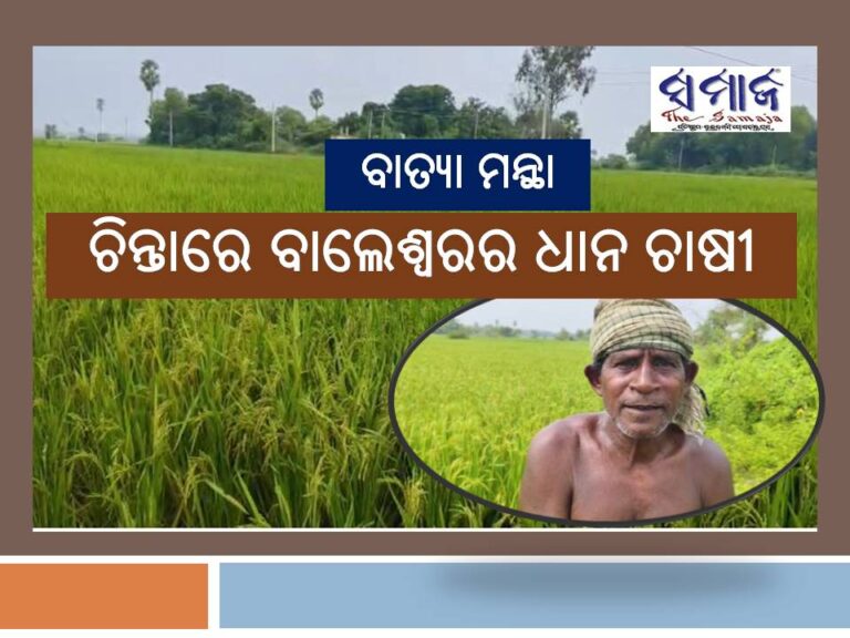 ବାତ୍ୟା ମନ୍ଥା: ଚିନ୍ତାରେ ବାଲେଶ୍ୱରର ଧାନ ଚାଷୀ