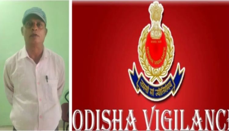 ଭିଜିଲାନ୍ସ ଜାଲରେ ଓଏଏସ୍‌ ଅଧିକାରୀ