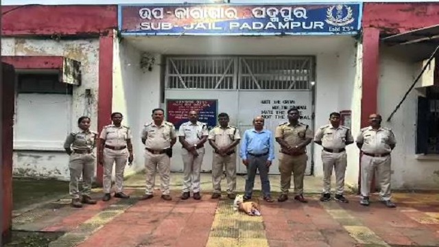 ଜେଲ୍ ଓ ସବଜେଲରେ ଚଢାଉ: ବିପୁଳ ମାଦକ ଦ୍ରବ୍ୟ ଜବତ