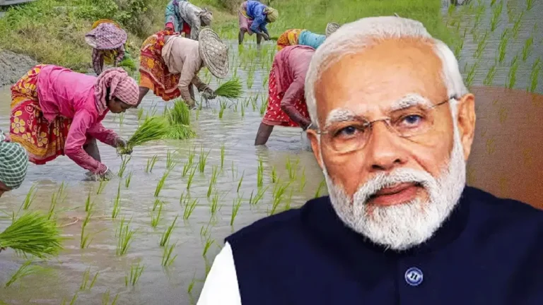 ୧୧ରେ ପ୍ରଧାନମନ୍ତ୍ରୀ ଧନଧାନ୍ୟ କୃଷି ଯୋଜନାର ଶୁଭାରମ୍ଭ