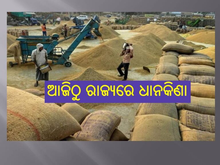 ଆଜିଠୁ ରାଜ୍ୟରେ ଧାନକିଣା
