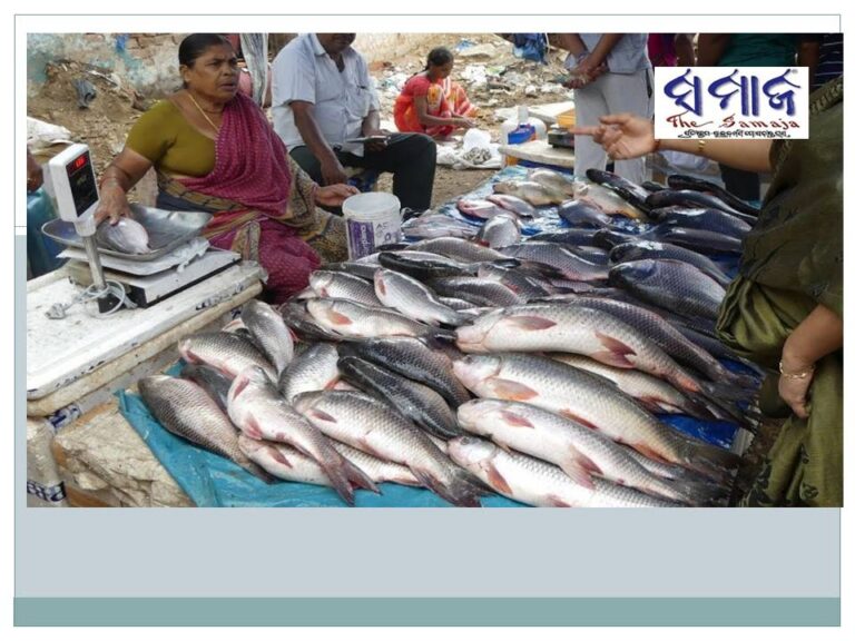 ମାଛ, ଅଣ୍ଡା ଉତ୍ପାଦନରେ ଓଡ଼ିଶା ପଛରେ