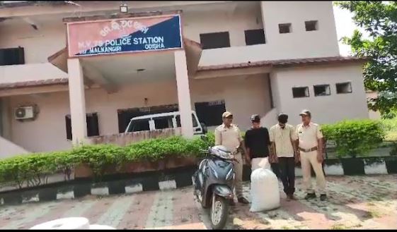 ଗାର୍ଲଫ୍ରେଣ୍ଡକୁ ଜନ୍ମଦିନରେ ଆଇଫୋନ ଗିଫ୍ଟ ଦେବାକୁ ଗଞ୍ଜେଇ ବେପାର ! ଦୁଇ ଗିରଫ