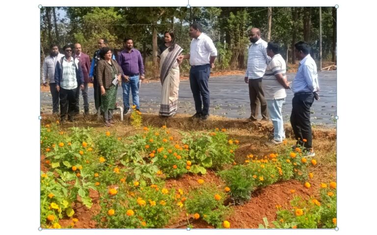 କେନ୍ଦ୍ର ଯୁଗ୍ମ ସଚିବଙ୍କ କନ୍ଧମାଳ ଗସ୍ତ, କ୍ଷେତ୍ର ପରିଦର୍ଶନ କରି ଉନ୍ନୟନ କାର୍ଯ୍ୟ ସମୀକ୍ଷା କଲେ