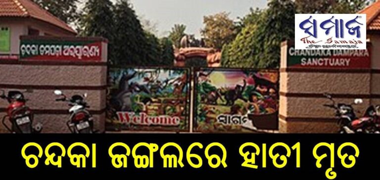 ଚନ୍ଦକା ଜଙ୍ଗଲରେ ହାତୀ ମୃତ
