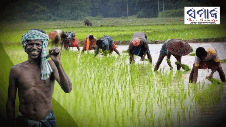 ଚାଷୀଙ୍କ ପାଇଁ ଖୁସି ଖବର