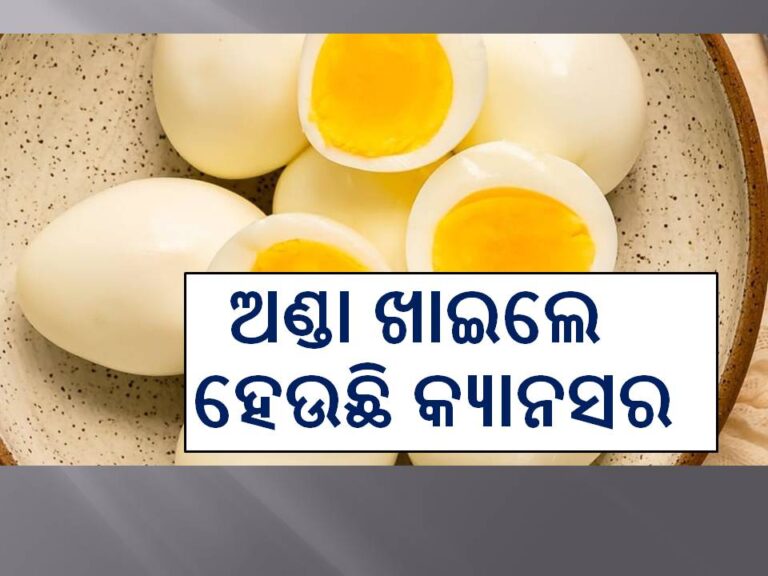 ସାବଧାନ, ଅଣ୍ଡା ଖାଇଲେ ହେଉଛି କ୍ୟାନସର!