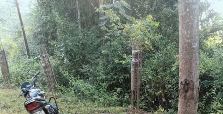 ଯୁବକଙ୍କୁ ହତ୍ୟା କଲେ ମାଓବାଦୀ !