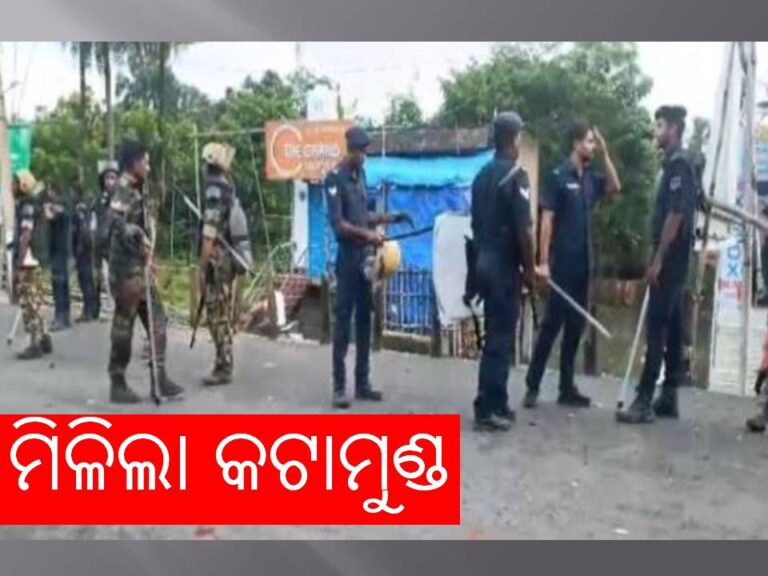 ମିଳିଲା ମହିଳାଙ୍କ କଟାମୁଣ୍ଡ !