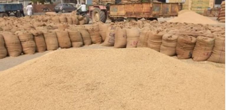 ସମ୍ବଲପୁରରେ ସ୍ବାଭାବିକ ହେଲା ଧାନକିଣା