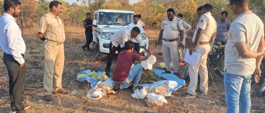 ଜଙ୍ଗଲରେ ଚାଲିଛି ଗଞ୍ଜେଇ ରେଡ୍